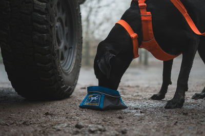 Ruffwear Front Range™ Padded Dog Harness (Blaze Orange)