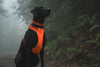 Ruffwear Front Range™ Padded Dog Harness (Blaze Orange)