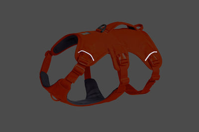 Ruffwear Web Master™ Dog Harness with Neck Buckle and Handle (Blaze Orange)