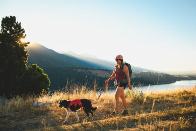 Ruffwear Web Master™ Dog Harness with Neck Buckle and Handle (Red Canyon)