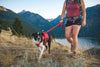 Ruffwear Web Master™ Dog Harness with Neck Buckle and Handle (Red Canyon)