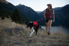 Ruffwear Web Master™ Dog Harness with Neck Buckle and Handle (Red Canyon)