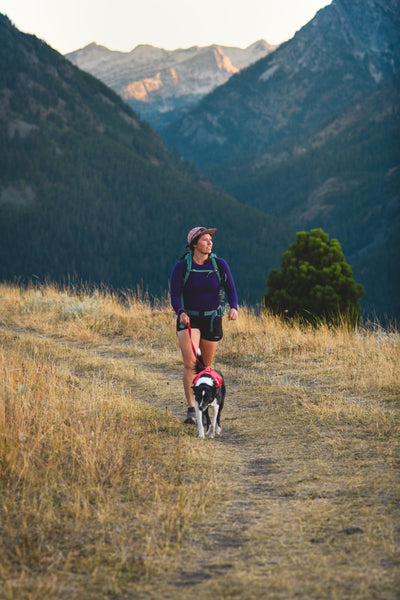 Ruffwear Web Master™ Dog Harness with Neck Buckle and Handle (Red Canyon)