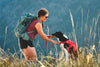 Ruffwear Web Master™ Dog Harness with Neck Buckle and Handle (Red Canyon)
