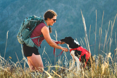 Ruffwear Web Master™ Dog Harness with Neck Buckle and Handle (Red Canyon)