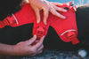 Ruffwear Web Master™ Dog Harness with Neck Buckle and Handle (Red Canyon)