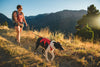 Ruffwear Web Master™ Dog Harness with Neck Buckle and Handle (Red Canyon)