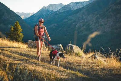 Ruffwear Web Master™ Dog Harness with Neck Buckle and Handle (Red Canyon)