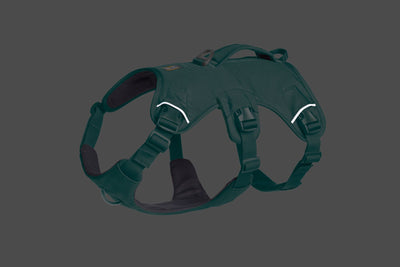 Ruffwear Web Master™ Dog Harness with Neck Buckle and Handle (River Rock Green)