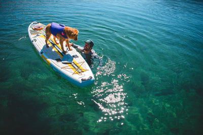 Ruffwear Float Coat™ Dog Life Jacket (Purple Lily)