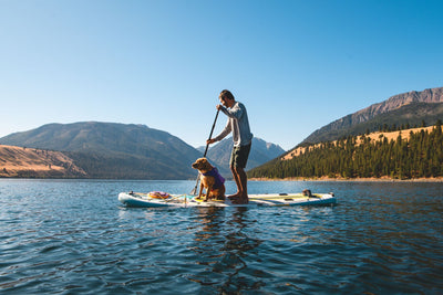 Ruffwear Float Coat™ Dog Life Jacket (Purple Lily)
