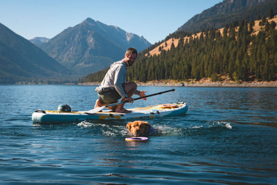 Ruffwear Float Coat™ Dog Life Jacket (Purple Lily)