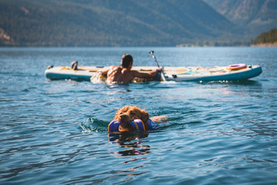 Ruffwear Float Coat™ Dog Life Jacket (Purple Lily)