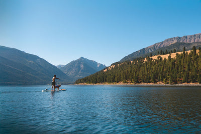 Ruffwear Float Coat™ Dog Life Jacket (Purple Lily)