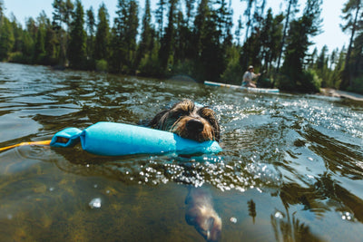 Ruffwear Float Coat™ Dog Life Jacket (Deep Blue)
