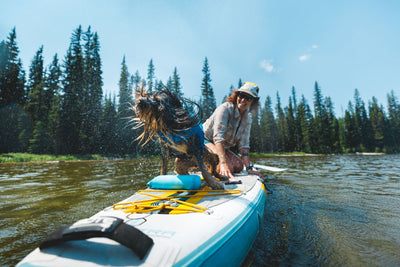 Ruffwear Float Coat™ Dog Life Jacket (Deep Blue)