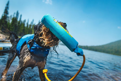 Ruffwear Float Coat™ Dog Life Jacket (Deep Blue)