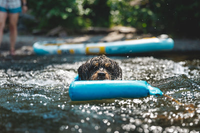 Ruffwear Float Coat™ Dog Life Jacket (Deep Blue)
