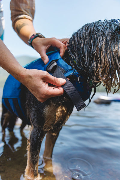 Ruffwear Float Coat™ Dog Life Jacket (Deep Blue)