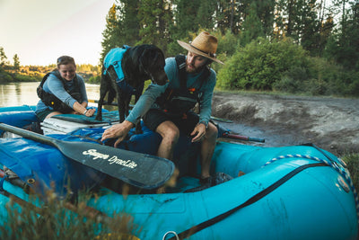 Ruffwear Confluence™ Harness-Style Dog Life Jacket (Biolumin Blue)