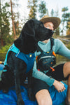 Ruffwear Confluence™ Harness-Style Dog Life Jacket (Biolumin Blue)