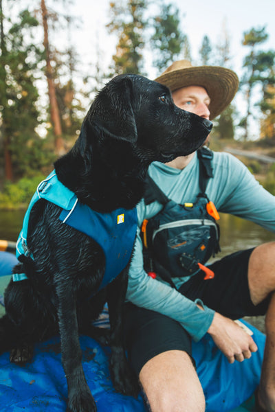 Ruffwear Confluence™ Harness-Style Dog Life Jacket (Biolumin Blue)