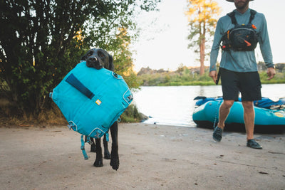 Ruffwear Confluence™ Harness-Style Dog Life Jacket (Biolumin Blue)