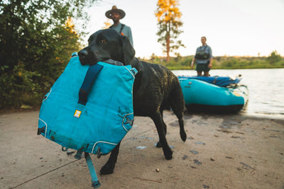 Ruffwear Confluence™ Harness-Style Dog Life Jacket (Biolumin Blue)