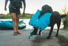 Ruffwear Confluence™ Harness-Style Dog Life Jacket (Biolumin Blue)