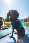 Ruffwear Confluence™ Harness-Style Dog Life Jacket (Biolumin Blue)