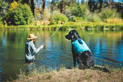 Ruffwear Confluence™ Harness-Style Dog Life Jacket (Biolumin Blue)