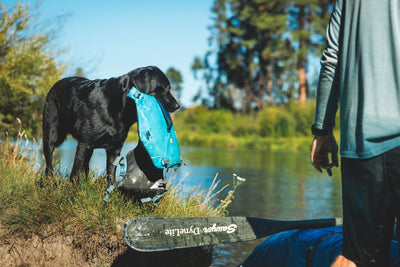 Ruffwear Confluence™ Harness-Style Dog Life Jacket (Tangelo Orange)