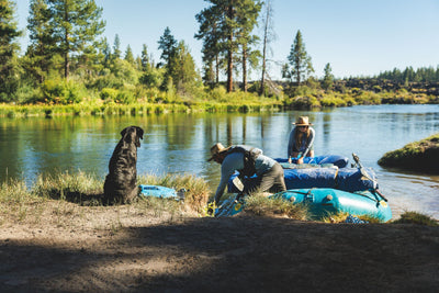 Ruffwear Confluence™ Harness-Style Dog Life Jacket (Biolumin Blue)