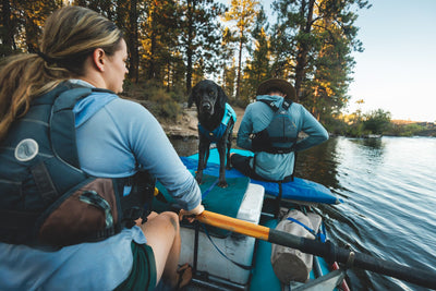 Ruffwear Confluence™ Harness-Style Dog Life Jacket (Biolumin Blue)