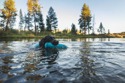 Ruffwear Confluence™ Harness-Style Dog Life Jacket (Tangelo Orange)