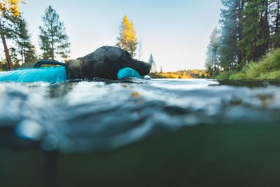 Ruffwear Confluence™ Harness-Style Dog Life Jacket (Tangelo Orange)