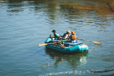 Ruffwear Confluence™ Harness-Style Dog Life Jacket (Tangelo Orange)