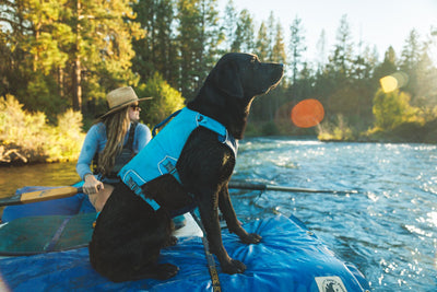 Ruffwear Confluence™ Harness-Style Dog Life Jacket (Biolumin Blue)