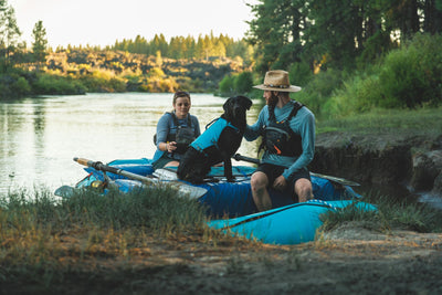 Ruffwear Confluence™ Harness-Style Dog Life Jacket (Biolumin Blue)