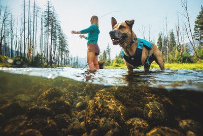 Ruffwear Confluence™ Harness-Style Dog Life Jacket (Biolumin Blue)