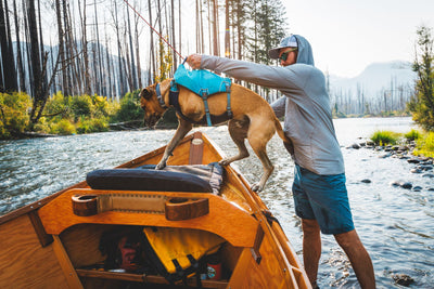 Ruffwear Confluence™ Harness-Style Dog Life Jacket (Biolumin Blue)