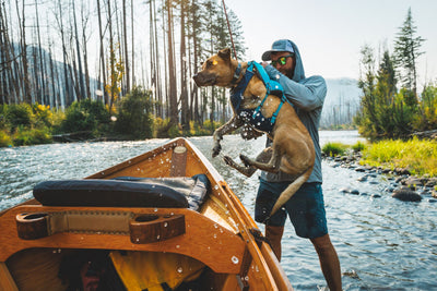 Ruffwear Confluence™ Harness-Style Dog Life Jacket (Tangelo Orange)