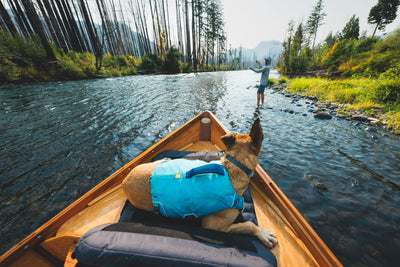 Ruffwear Confluence™ Harness-Style Dog Life Jacket (Tangelo Orange)