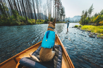 Ruffwear Confluence™ Harness-Style Dog Life Jacket (Biolumin Blue)