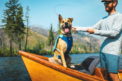 Ruffwear Confluence™ Harness-Style Dog Life Jacket (Biolumin Blue)