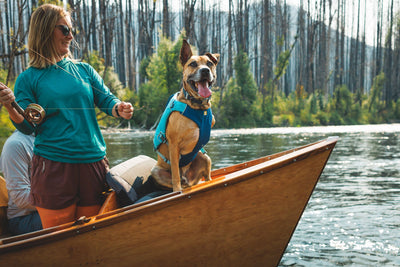 Ruffwear Confluence™ Harness-Style Dog Life Jacket (Biolumin Blue)