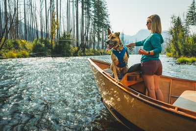 Ruffwear Confluence™ Harness-Style Dog Life Jacket (Biolumin Blue)