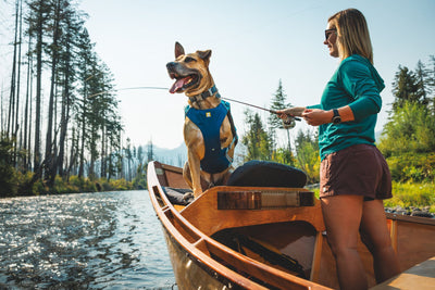 Ruffwear Confluence™ Harness-Style Dog Life Jacket (Biolumin Blue)
