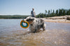 Ruffwear Hydro Plane™ High-Floating Foam Tug & Fetch Toy Fetch Dog Toy (Tangelo Orange)