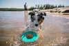 Ruffwear Hydro Plane™ High-Floating Foam Tug & Fetch Toy Fetch Dog Toy (Tangelo Orange)